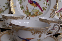 SPODE CHELSEA BIRD Y8555-  CUP & SAUCER   .....   https://www.jaapiesfinechinastore.com