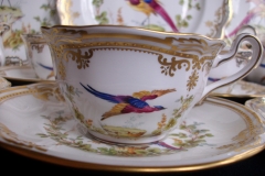 SPODE CHELSEA BIRD Y8555-  CUP & SAUCER   .....   https://www.jaapiesfinechinastore.com