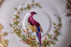 SPODE CHELSEA BIRD Y8555-  CUP & SAUCER   .....   https://www.jaapiesfinechinastore.com