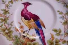 SPODE CHELSEA BIRD Y8555-  CUP & SAUCER   .....   https://www.jaapiesfinechinastore.com