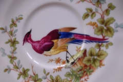 SPODE CHELSEA BIRD Y8555-  CUP & SAUCER   .....   https://www.jaapiesfinechinastore.com