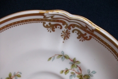 SPODE CHELSEA BIRD Y8555-  CUP & SAUCER   .....   https://www.jaapiesfinechinastore.com