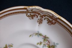 SPODE CHELSEA BIRD Y8555-  CUP & SAUCER   .....   http://jaapiesfinechinastore.com