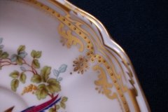 SPODE CHELSEA BIRD Y8555-  CUP & SAUCER   .....   http://jaapiesfinechinastore.com