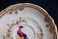 SPODE CHELSEA BIRD Y8555-  CUP & SAUCER   .....   https://www.jaapiesfinechinastore.com