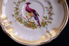 SPODE CHELSEA BIRD Y8555-  CUP & SAUCER   .....   http://jaapiesfinechinastore.com