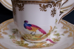 SPODE CHELSEA BIRD Y8555-  DEMI CUP & SAUCER   .....   https://www.jaapiesfinechinastore.com