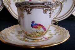 SPODE CHELSEA BIRD Y8555-  DEMI CUP & SAUCER   .....   https://www.jaapiesfinechinastore.com