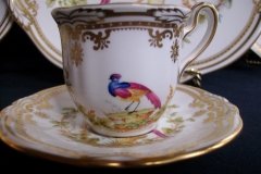 SPODE CHELSEA BIRD Y8555-  DEMI CUP & SAUCER   .....   http://jaapiesfinechinastore.com
