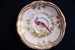 SPODE CHELSEA BIRD Y8555-  DEMI CUP & SAUCER   .....   http://jaapiesfinechinastore.com