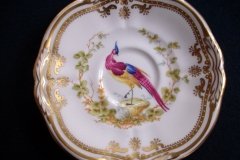 SPODE CHELSEA BIRD Y8555-  DEMI CUP & SAUCER   .....   http://jaapiesfinechinastore.com