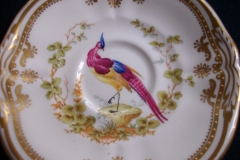 SPODE CHELSEA BIRD Y8555-  DEMI CUP & SAUCER   .....   https://www.jaapiesfinechinastore.com