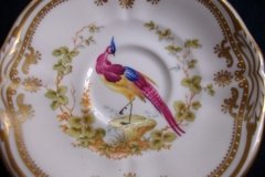 SPODE CHELSEA BIRD Y8555-  DEMI CUP & SAUCER   .....   http://jaapiesfinechinastore.com