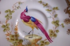 SPODE CHELSEA BIRD Y8555-  DEMI CUP & SAUCER   .....   http://jaapiesfinechinastore.com