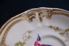 SPODE CHELSEA BIRD Y8555-  DEMI CUP & SAUCER   .....   http://jaapiesfinechinastore.com