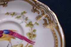 SPODE CHELSEA BIRD Y8555-  DEMI CUP & SAUCER   .....   http://jaapiesfinechinastore.com