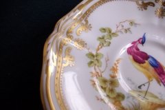 SPODE CHELSEA BIRD Y8555-  DEMI CUP & SAUCER   .....   http://jaapiesfinechinastore.com