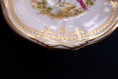 SPODE CHELSEA BIRD Y8555-  DEMI CUP & SAUCER   .....   https://www.jaapiesfinechinastore.com