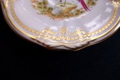 SPODE CHELSEA BIRD Y8555-  DEMI CUP & SAUCER   .....   http://jaapiesfinechinastore.com