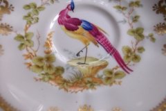 SPODE CHELSEA BIRD Y8555-  DEMI CUP & SAUCER   .....   http://jaapiesfinechinastore.com