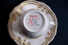SPODE CHELSEA BIRD Y8555-  DEMI CUP & SAUCER   .....   http://jaapiesfinechinastore.com