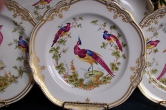 SPODE CHELSEA BIRD Y8555- DINNER  PLATE ..... https://www.jaapiesfinechinastore.com