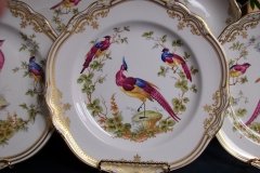SPODE CHELSEA BIRD Y8555- DINNER  PLATE ..... http://jaapiesfinechinastore.com