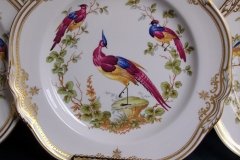 SPODE CHELSEA BIRD Y8555- DINNER  PLATE ..... http://jaapiesfinechinastore.com