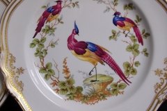 SPODE CHELSEA BIRD Y8555- DINNER  PLATE ..... http://jaapiesfinechinastore.com