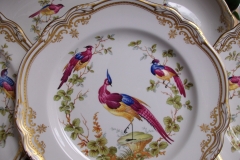 SPODE CHELSEA BIRD Y8555- DINNER  PLATE ..... https://www.jaapiesfinechinastore.com