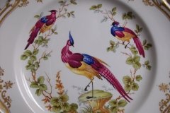 SPODE CHELSEA BIRD Y8555- DINNER  PLATE ..... http://jaapiesfinechinastore.com