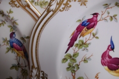 SPODE CHELSEA BIRD Y8555- DINNER  PLATE ..... https://www.jaapiesfinechinastore.com