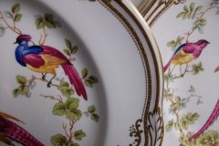 SPODE CHELSEA BIRD Y8555- DINNER  PLATE ..... http://jaapiesfinechinastore.com