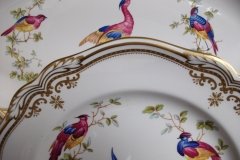 SPODE CHELSEA BIRD Y8555- DINNER  PLATE ..... http://jaapiesfinechinastore.com