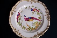 SPODE CHELSEA BIRD Y8555- DINNER  PLATE ..... http://jaapiesfinechinastore.com