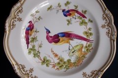 SPODE CHELSEA BIRD Y8555- DINNER  PLATE ..... http://jaapiesfinechinastore.com