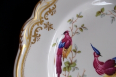 SPODE CHELSEA BIRD Y8555- DINNER  PLATE ..... https://www.jaapiesfinechinastore.com