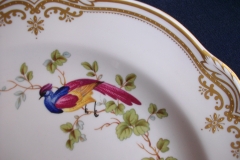 SPODE CHELSEA BIRD Y8555- DINNER  PLATE ..... https://www.jaapiesfinechinastore.com