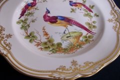 SPODE CHELSEA BIRD Y8555- DINNER  PLATE ..... http://jaapiesfinechinastore.com