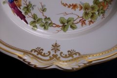 SPODE CHELSEA BIRD Y8555- DINNER  PLATE ..... http://jaapiesfinechinastore.com