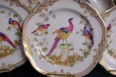 SPODE CHELSEA BIRD Y8555- DINNER  PLATE ..... http://jaapiesfinechinastore.com