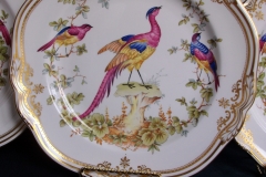 SPODE CHELSEA BIRD Y8555- DINNER  PLATE ..... https://www.jaapiesfinechinastore.com