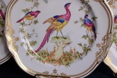 SPODE CHELSEA BIRD Y8555- DINNER  PLATE ..... http://jaapiesfinechinastore.com