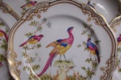 SPODE CHELSEA BIRD Y8555- DINNER  PLATE ..... http://jaapiesfinechinastore.com