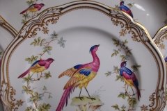 SPODE CHELSEA BIRD Y8555- DINNER  PLATE ..... http://jaapiesfinechinastore.com