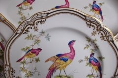 SPODE CHELSEA BIRD Y8555- DINNER  PLATE ..... http://jaapiesfinechinastore.com