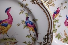 SPODE CHELSEA BIRD Y8555- DINNER  PLATE ..... http://jaapiesfinechinastore.com