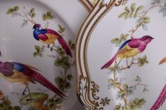 SPODE CHELSEA BIRD Y8555- DINNER  PLATE ..... http://jaapiesfinechinastore.com