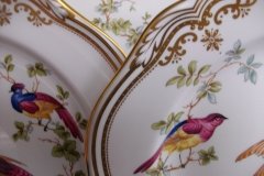 SPODE CHELSEA BIRD Y8555- DINNER  PLATE ..... http://jaapiesfinechinastore.com