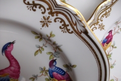 SPODE CHELSEA BIRD Y8555- DINNER  PLATE ..... https://www.jaapiesfinechinastore.com